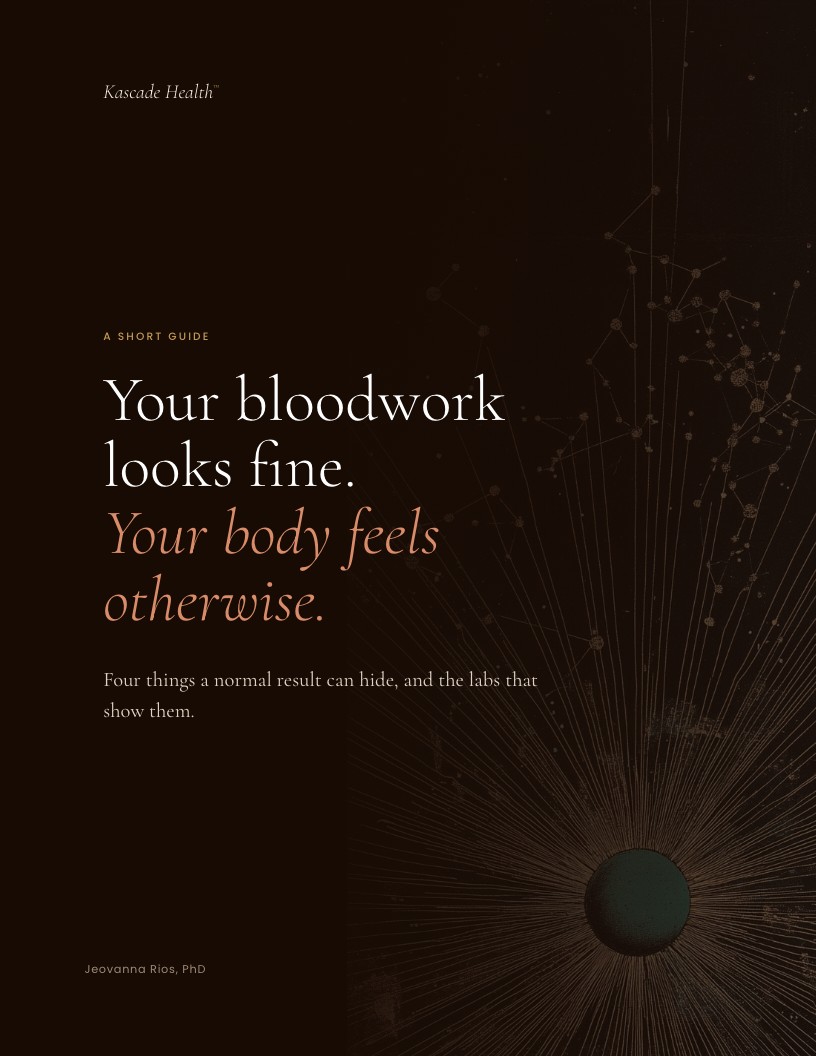 The cover of the guide: Your bloodwork looks fine. Your body feels otherwise.
